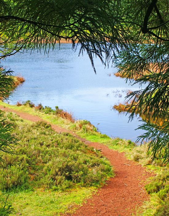 DSC04054_bearbeitet-1