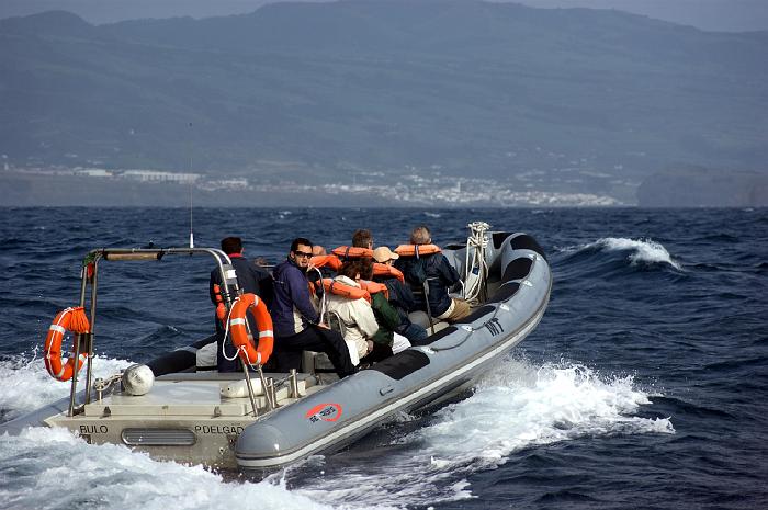 DSC05059_bearbeitet-1