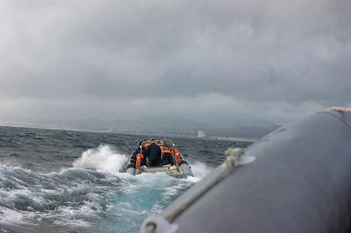 DSC05113_bearbeitet-1