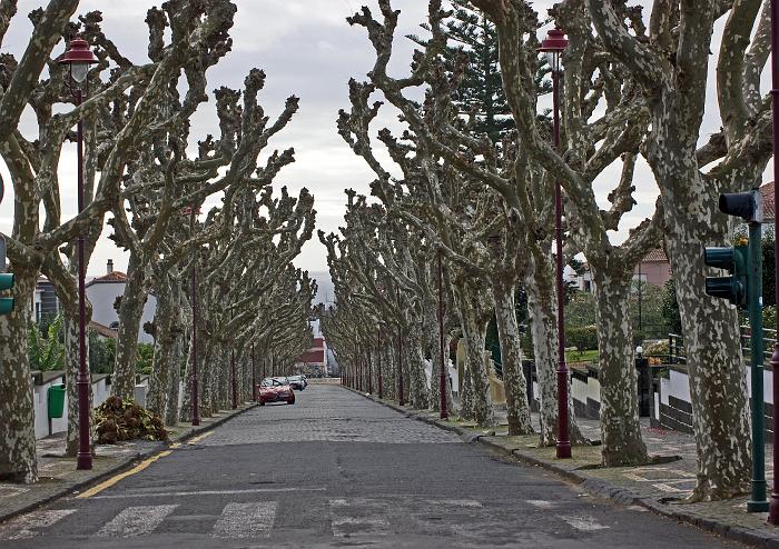 DSC05182_bearbeitet-2