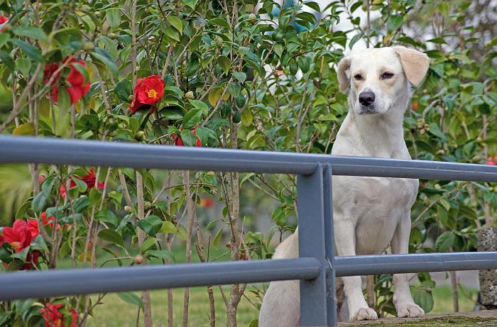 DSC05186_bearbeitet-1