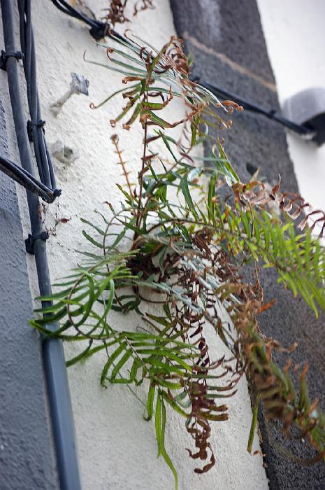 DSC05320_bearbeitet-1